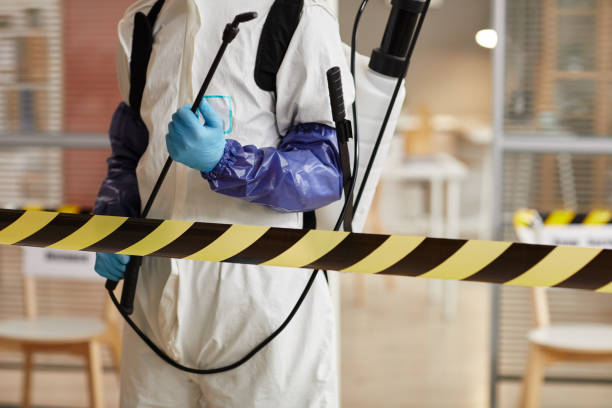 Professional Biohazard Cleanup technician working in Bradford, NH
